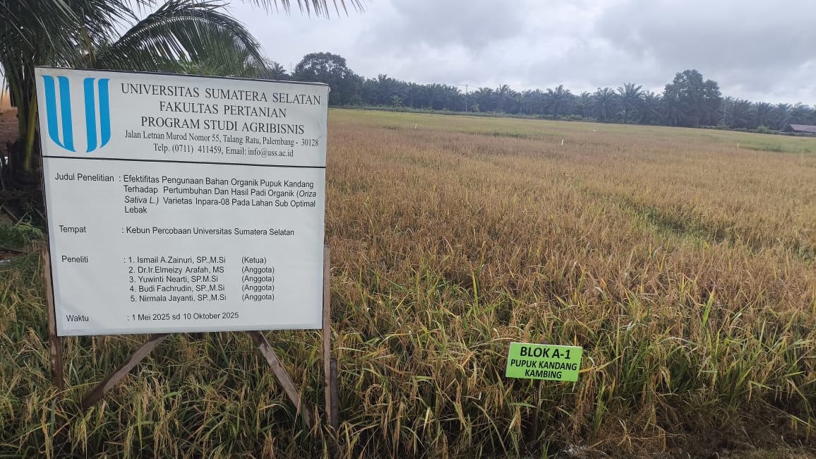 Panen Raya Padi INPARA-08, INPARI-43 dan INPARI 45